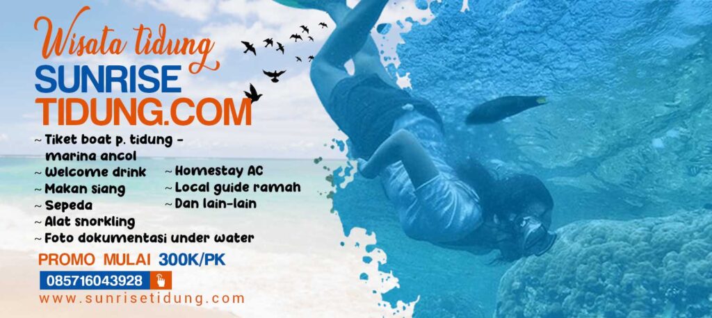 baner wisata pulau tidung
